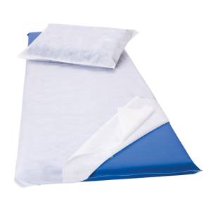 Disposable Sheets (x100)