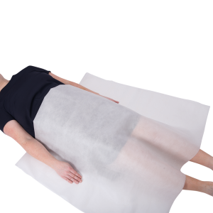 Modesty Sheets